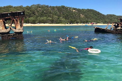 All Inclusive Dolphin And Tangalooma Wrecks Cruise Departing Gold Coast - St Kilda Accommodation 9