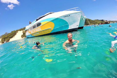 All Inclusive Dolphin And Tangalooma Wrecks Cruise Departing Gold Coast - St Kilda Accommodation 2