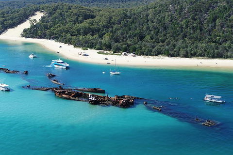 All Inclusive Dolphin And Tangalooma Wrecks Cruise Departing Gold Coast - St Kilda Accommodation 5