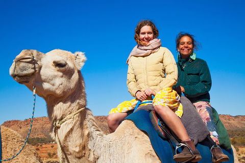 Alice Springs Camel Tour - St Kilda Accommodation 8