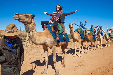 Alice Springs Camel Tour - St Kilda Accommodation 7