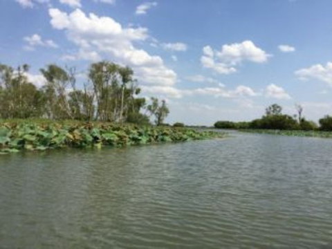 1 Day Corroboree Billabong Wetland Experience Including 2.5 Hour Cruise + Lunch - St Kilda Accommodation 4