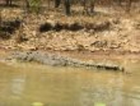 1 Day Corroboree Billabong Wetland Experience Including 2.5 Hour Cruise + Lunch - St Kilda Accommodation 6