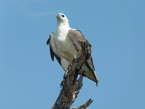 1 Day Corroboree Billabong Wetland Experience Including 2.5 Hour Cruise + Lunch - St Kilda Accommodation 2