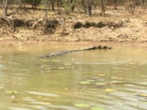 1 Day Corroboree Billabong Wetland Experience Including 2.5 Hour Cruise + Lunch - St Kilda Accommodation 5