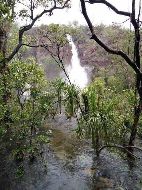 Small-Group Litchfield National Park Day Trip From Darwin - St Kilda Accommodation 6