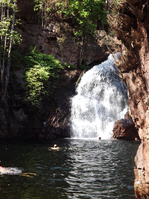 Small-Group Litchfield National Park Day Trip From Darwin - St Kilda Accommodation 13