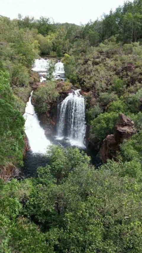 Small-Group Litchfield National Park Day Trip From Darwin - St Kilda Accommodation 7
