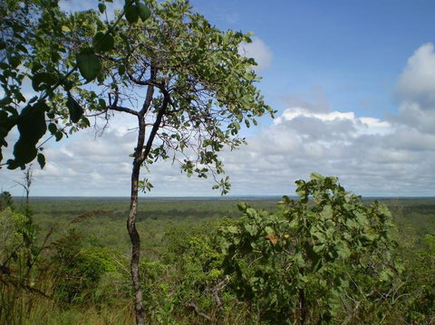 Small-Group Litchfield National Park Day Trip From Darwin - St Kilda Accommodation 8