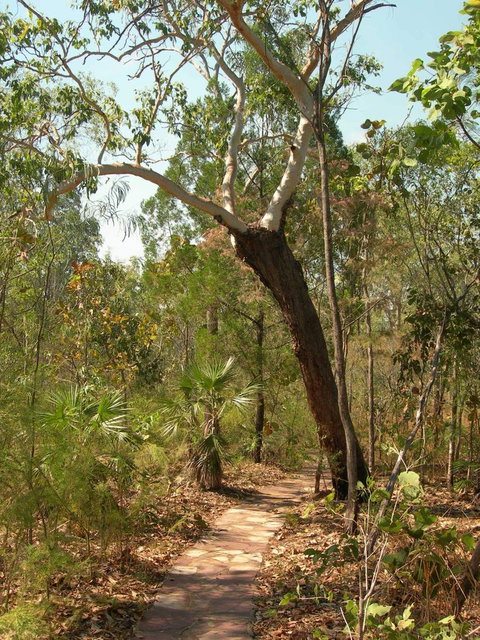 Small-Group Litchfield National Park Day Trip From Darwin - St Kilda Accommodation 14