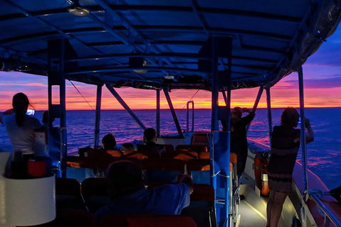 Darwin Sunset Cruise, Including Fish \'n\' Chips - St Kilda Accommodation 9