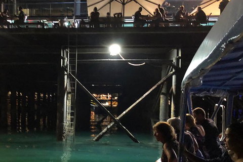 Darwin Sunset Cruise, Including Fish \'n\' Chips - St Kilda Accommodation 8