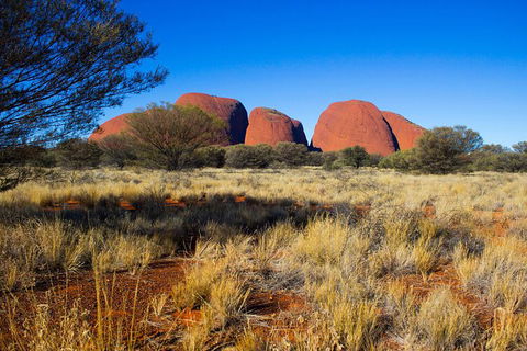 Ayers Rock 4 Tour Combo: Complete Uluru Base Walk At Sunrise, Valley Of The Winds At Sunrise, Kata Tjuta Sunset And Uluru Sunset - St Kilda Accommodation 12