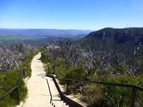 All Inclusive Blue Mountains Small-Group Day Trip From Sydney - St Kilda Accommodation 9