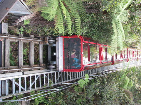 All Inclusive Blue Mountains Small-Group Day Trip From Sydney - St Kilda Accommodation 16