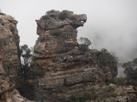 All Inclusive Blue Mountains Small-Group Day Trip From Sydney - St Kilda Accommodation 6