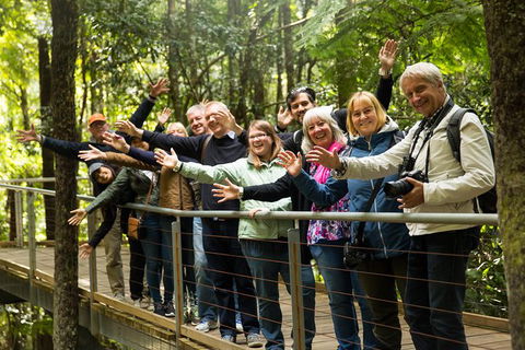 All Inclusive Blue Mountains Small-Group Day Trip From Sydney - St Kilda Accommodation 30