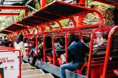 All-Inclusive Blue Mountains Day Trip With River Cruise - St Kilda Accommodation 7