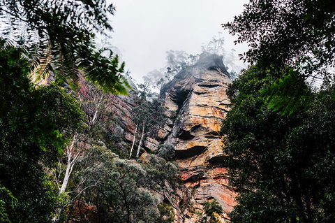 All-Inclusive Blue Mountains Day Trip With River Cruise - St Kilda Accommodation 3