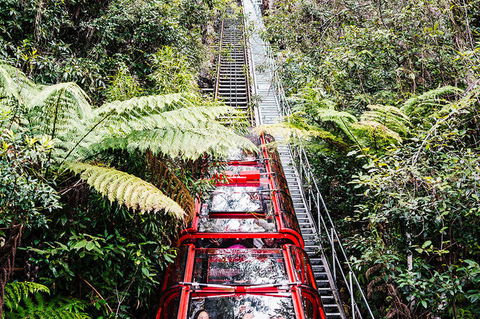All-Inclusive Blue Mountains Day Trip With River Cruise - St Kilda Accommodation 6