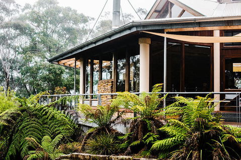 All-Inclusive Blue Mountains Day Trip With River Cruise - St Kilda Accommodation 11