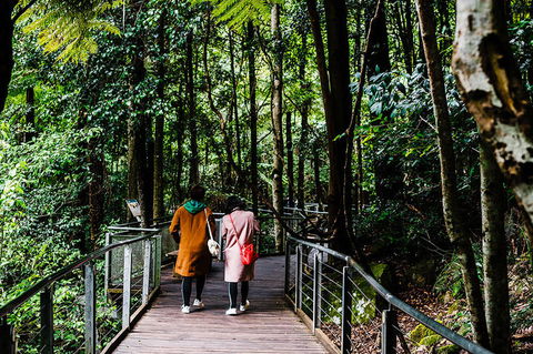 All-Inclusive Blue Mountains Day Trip With River Cruise - St Kilda Accommodation 10