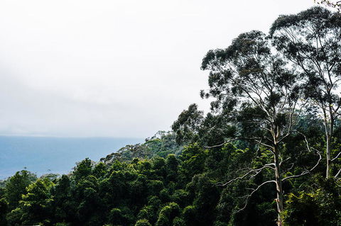 All-Inclusive Blue Mountains Day Trip With River Cruise - St Kilda Accommodation 18