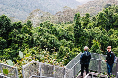 All-Inclusive Blue Mountains Day Trip With River Cruise - St Kilda Accommodation 2