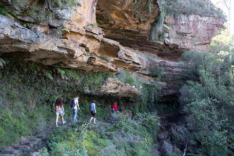 All-Inclusive Blue Mountains Day Trip With River Cruise - St Kilda Accommodation 38