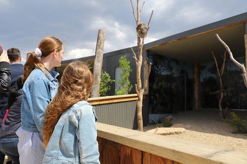 All-Inclusive Blue Mountains Day Trip With River Cruise - St Kilda Accommodation 23