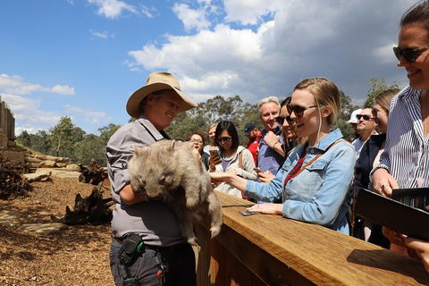 All-Inclusive Blue Mountains Day Trip With River Cruise - St Kilda Accommodation 27