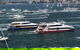 Australia Day Sydney Harbour Cruise - thumb 0