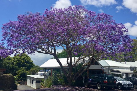 Byron Bay And Beyond Tour Including Cape Bryon Lighthouse Crystal Castle And Bangalow - St Kilda Accommodation 3