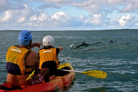 Byron Bay Combo: Hinterland Tour Including Minyon Falls And Kayaking With Dolphins - St Kilda Accommodation 18
