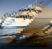 Jervis Bay Dolphin Watch Cruise - St Kilda Accommodation
