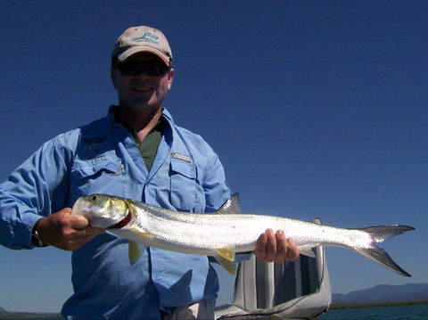 Barramundi To Trevally – A Seaforth Fishing Adventure - St Kilda Accommodation 2