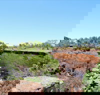 Bladensburg National Park - St Kilda Accommodation