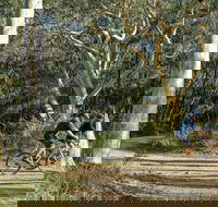 Bundanoon cycling route - St Kilda Accommodation