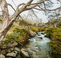 Dead Horse Gap walking track - St Kilda Accommodation