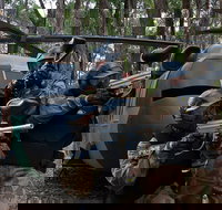 Delta Force Paintball Appin - St Kilda Accommodation