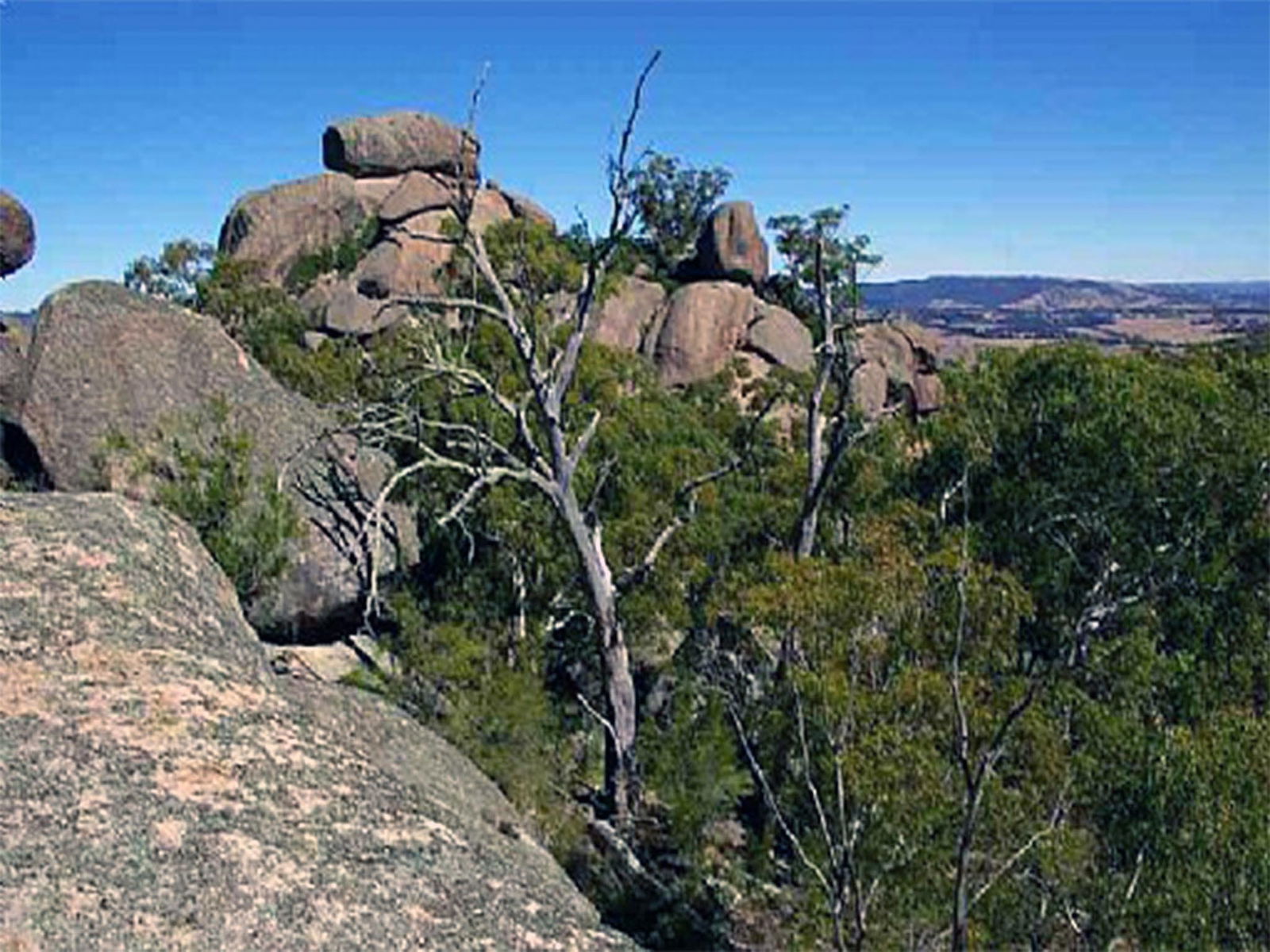Tarana NSW St Kilda Accommodation