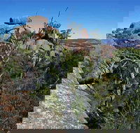 Evans Crown Nature Reserve - St Kilda Accommodation