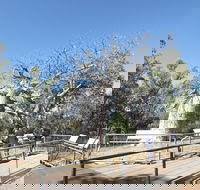 Gregory's Tree Timber Creek - St Kilda Accommodation