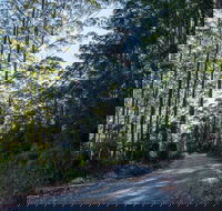 Hastings Forest Way Touring Route - St Kilda Accommodation