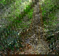 Iluka Nature Reserve