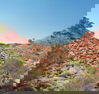 Lark Quarry Conservation Park - St Kilda Accommodation