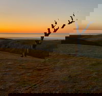 Lessismore Farm Afternoon Farmer - St Kilda Accommodation