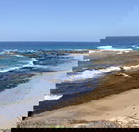 Little Shelley - St Kilda Accommodation