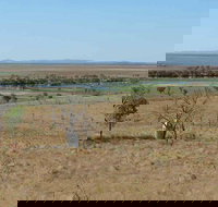 Marlgu Billabong - St Kilda Accommodation