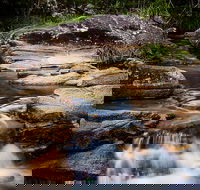 Mothar Mountain Rockpools - St Kilda Accommodation